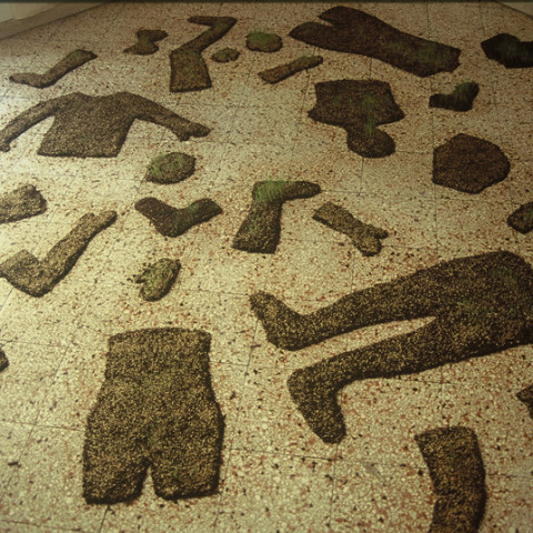 Au pays des hommes-fleuve - Campo di battaglia, 2002, terriccio e semi di prato, acqua, installazione in situ ,dimensioni variabili