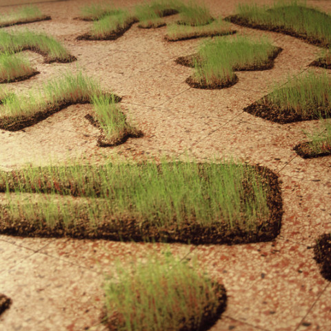 Au pays des hommes-fleuve - Campo di battaglia, 2002, terriccio e semi di prato, acqua, installazione in situ ,dimensioni variabili