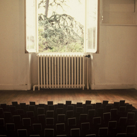 Au pays des hommes-fleuve - Semis, 1993, terriccio, polaroids di fiori morti, installazione in situ (20x400x400 cm)