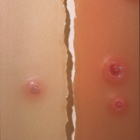 À mon seul desir - Jeunes filles, 1996. Lastre di paraffina colorata (60x100 cm cad.).