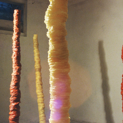 À mon seul desir - Beaux efforts, 1996. Cera d’ape colorata, fusto di ferro (circa 160x15 cm).