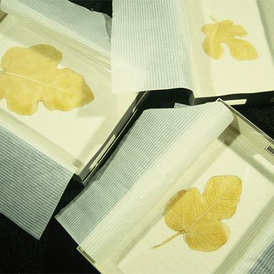 À mon seul desir - Pudenda, 1995. Impronte in lattice, scatole di camicie in cartoncino. Biennale dei giovani artisti del Mediterraneo, Turin, 1998.