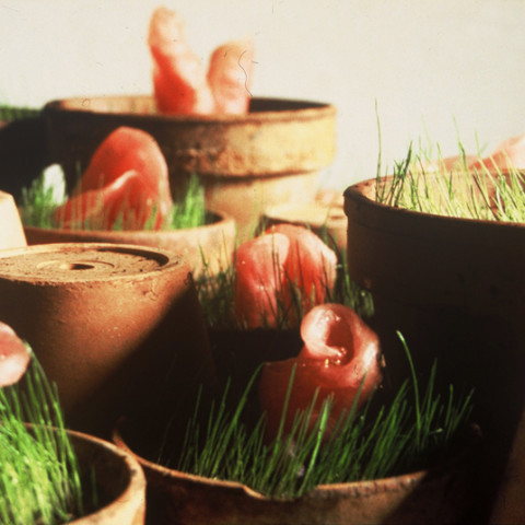 À mon seul desir - Impudiques, 1992. Cera dentale, terriccio, erba, acqua in vasi di terracotta. Installazione in situ.