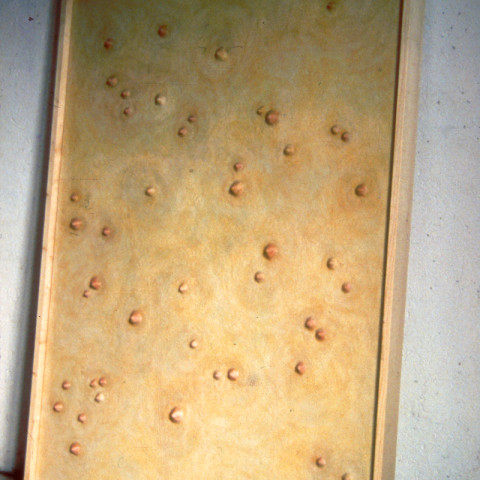 À mon seul desir - Ombilics, 1992. Plastilina e cera su tela, cornice di legno (100x150 cm).
