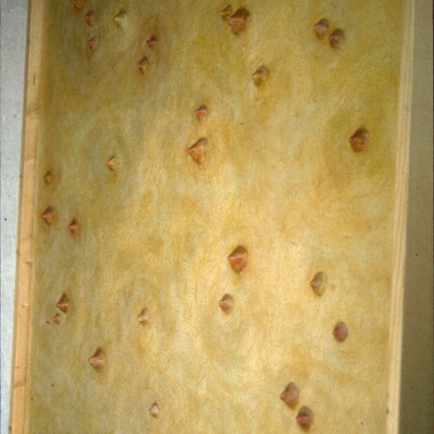 À mon seul desir - Ombilics, 1992. Plastilina e cera su tela, cornice di legno (100x150 cm).