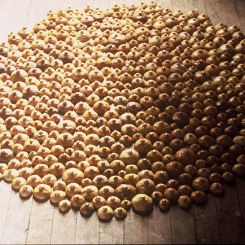 À mon seul desir - Sirènes, 1993. Argilla, cera vergine, ami d’acciaio. In cerchio a terra, diametro 2 metri.