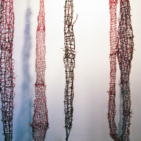 À mon seul desir - Tendres liens, 1995. Ficelle nouée, cire et résine, crochets en fer (dimensions variables).