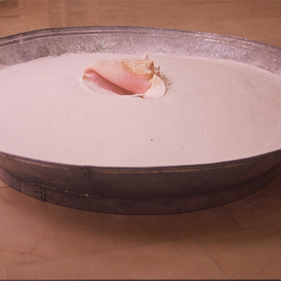 Sirene - Doux piège, 1997. Conchiglia, farina e borotalco, tub (100x40cm).
